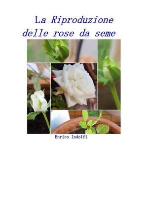 cover image of La riproduzione delle rose da seme